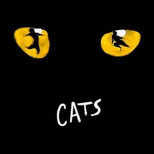 Getting fit visiting cats the musical