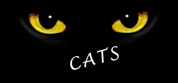 Parent Workouts: Cats the musical