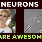 What can neuroscience do for you Dr Lila Landowski explains