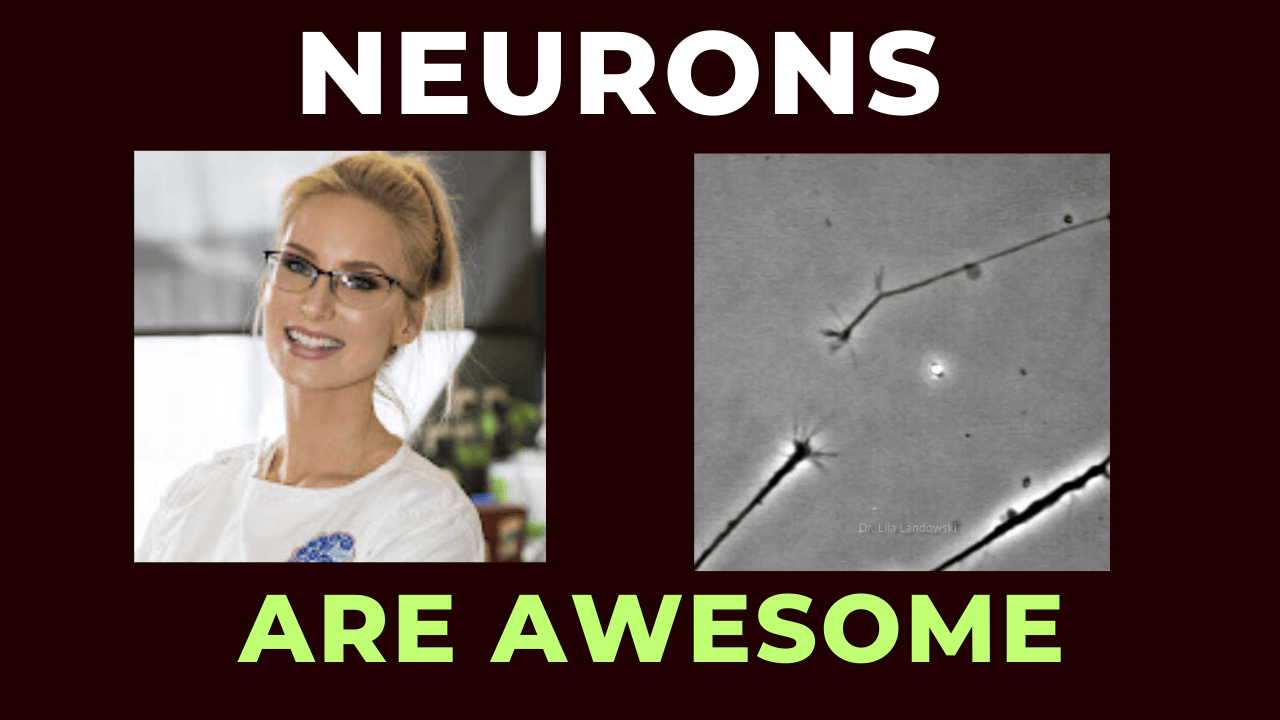 What can neuroscience do for you Dr Lila Landowski explains