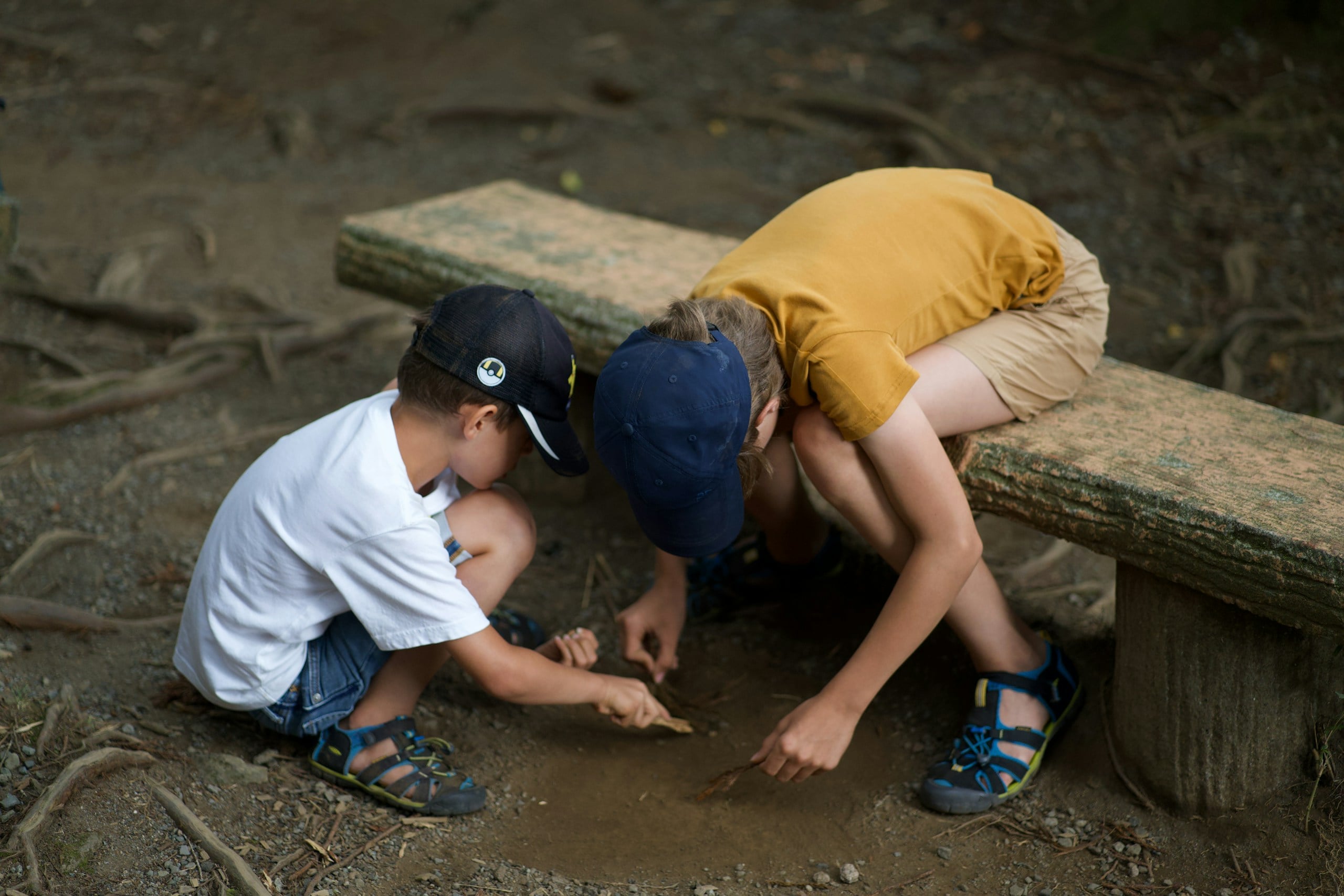 Two children examining something on the ground stockpack unsplash